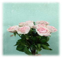 صورة ورد الجورى الروز الفاتح 