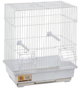 صورة اقفاص طيور مغرده