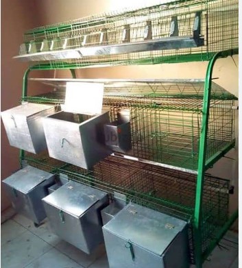 صورة بطارية ارانب شكل هرمى