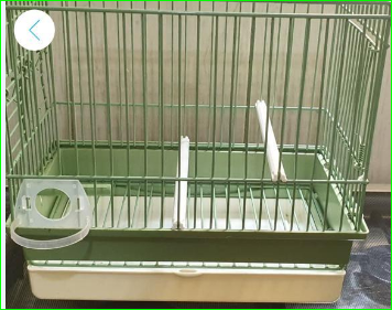 صورة قفص عصافير صغيرة