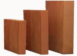 صورة كرتون صينى