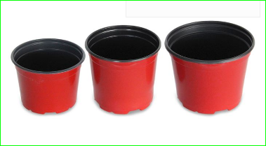 صورة YB-SP100 NURERY POT./قصاري نباتات ملونه