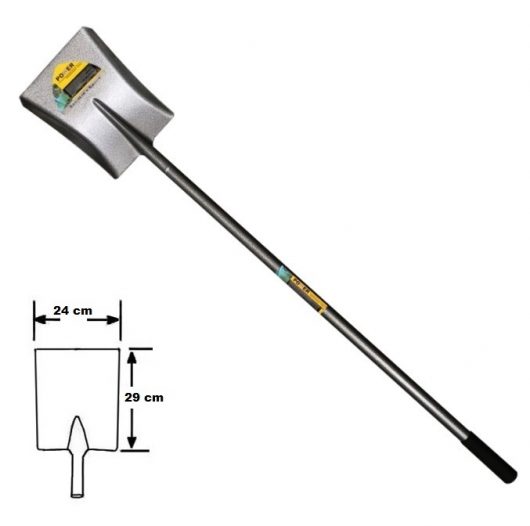 صورة شبل كبير مسطح من الراس