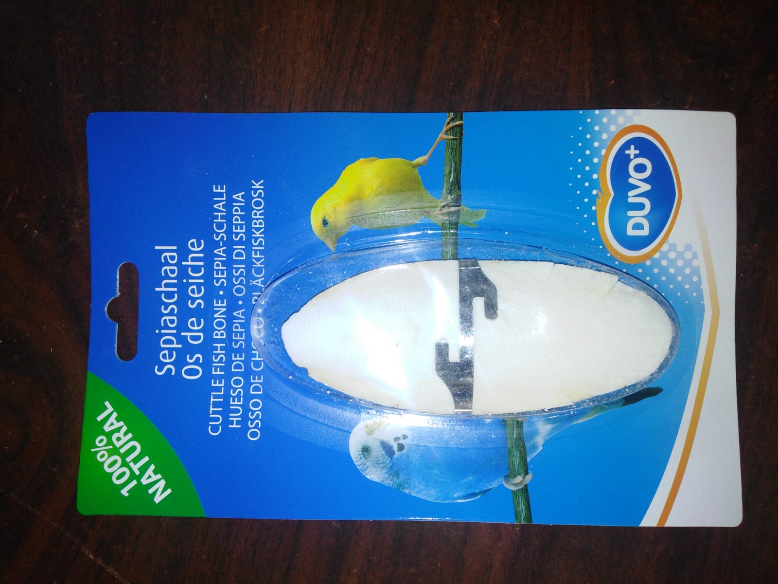 صورة حبار (خثاق)كلس طيور