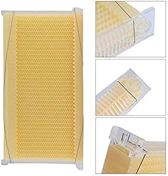 صورة شمع بلاستيك لبيوت عسل النحل