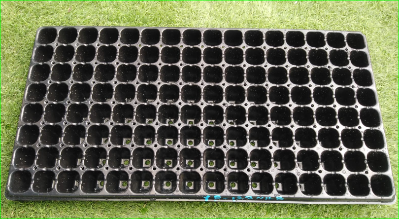 صورة صينيه زراعيه للبذور 128 فتحه