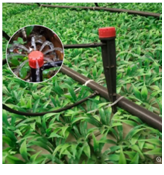 صورة  السهم المنقط الصغير طول 10سم