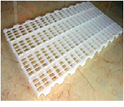 صورة ارضيات مضلعه بلاستيكيه لتربيه دجاج التسمين 2