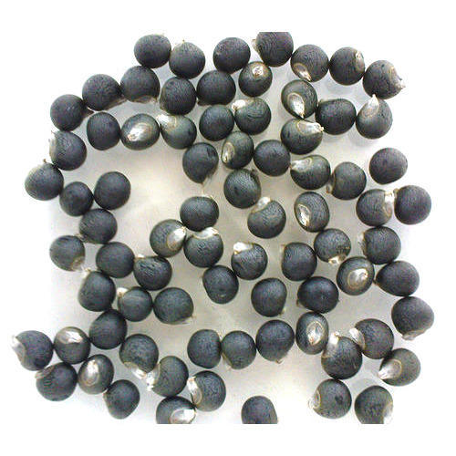 صورة بذور البامية الايرانية