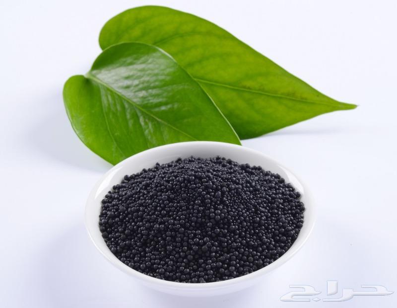 صورة هيومك اسد محبب بالكيلو