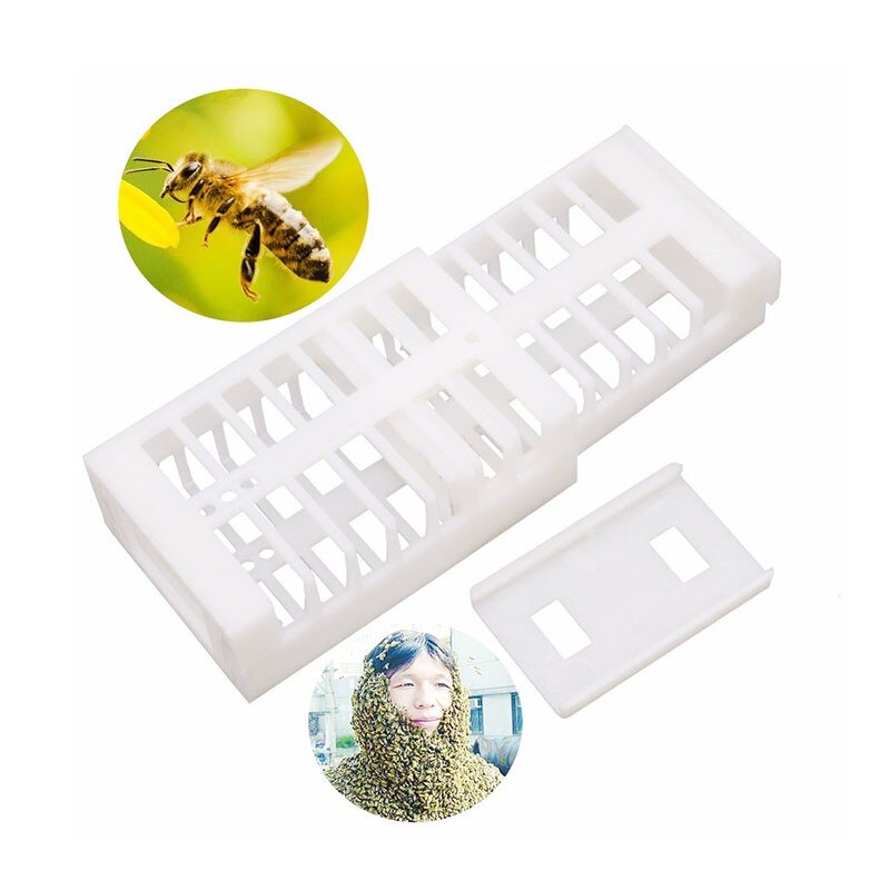 صورة حاجز ملكة النحل