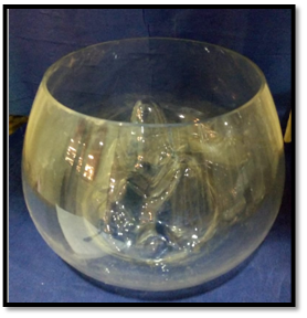 صورة حوض البركان  الزجاجي