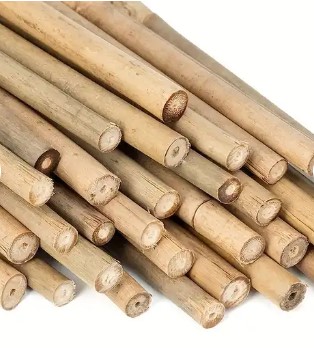 صورة عصا بامبو طول 4متر قطر 1.5"