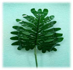 صورة ورد ورقة شجرة الكريسماس