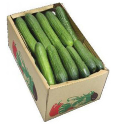 صورة كرتون التغليف  مقاس (282mm l*180mm  (w*85mm  h)