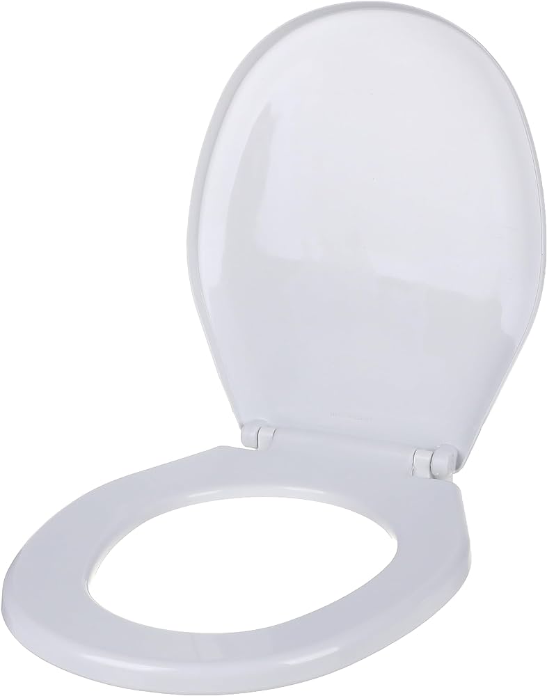 صورة غطاء و قاعدة حمام 