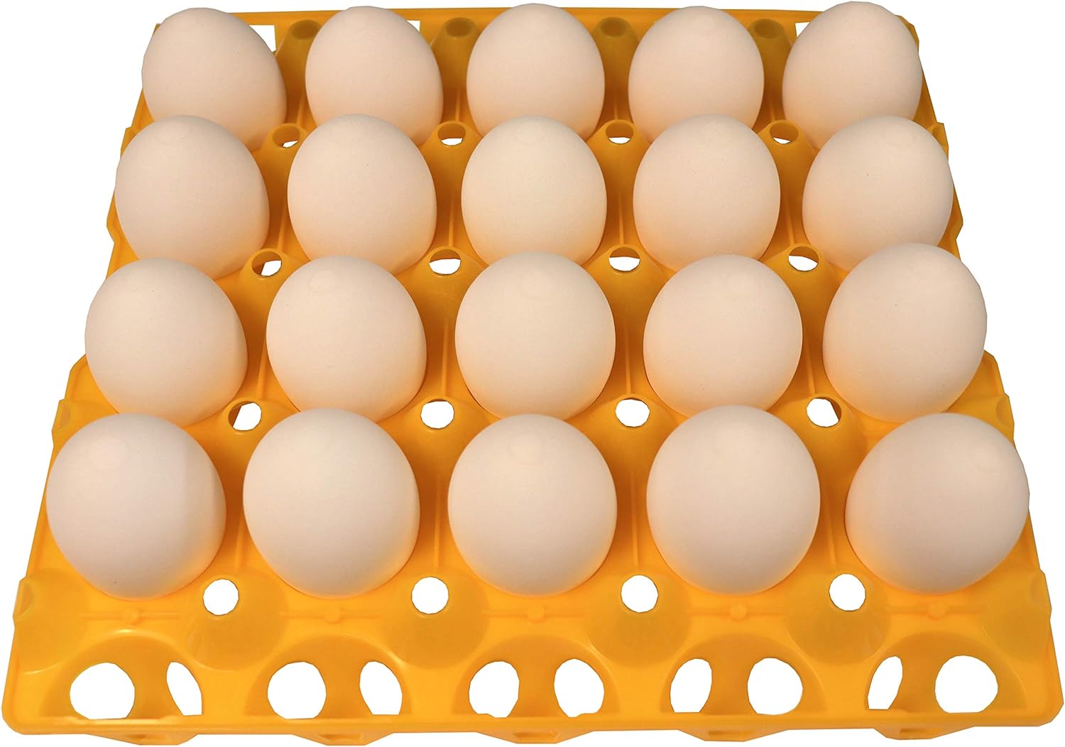 صورة  صينيه بيض الاوز والبط