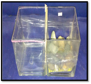 صورة فازة مربعة الشكل 