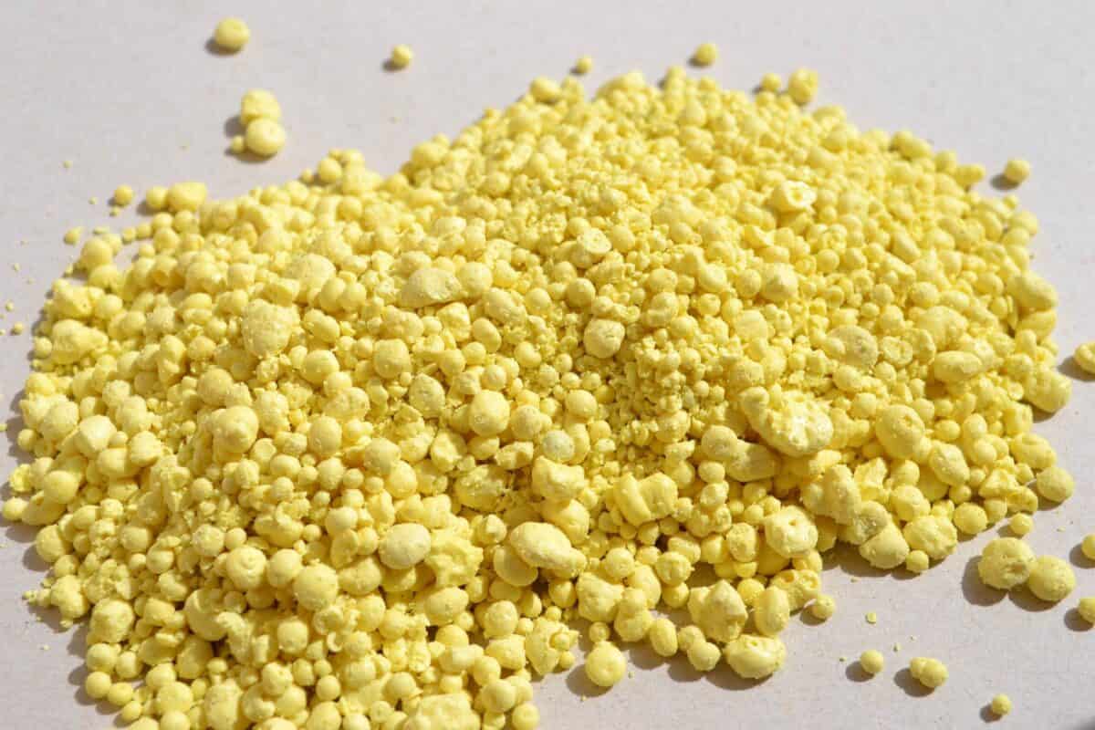 صورة كبريت زراعى محبب يباع بالكيلو وبالكيس