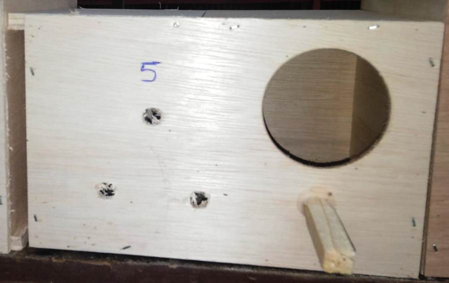 صورة عش الطيور الخشبي  رقم  5