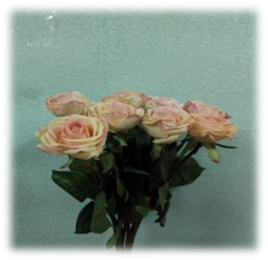 صورة ورد الجورى الروز * الاصفر