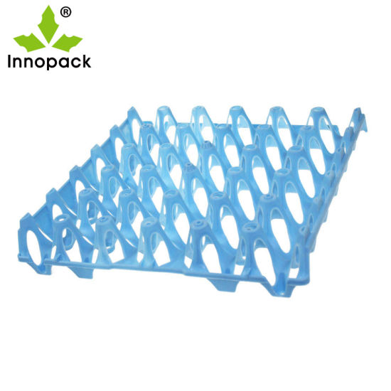 صورة صينيه بيض السمان 