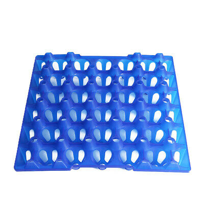 صورة  صينية البيض للدجاج   