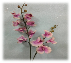 صورة ورد الاوركيدا البنفسجى الفاتح