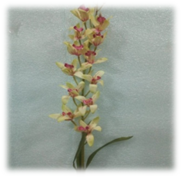 صورة ورد الوستارية الصفراء 